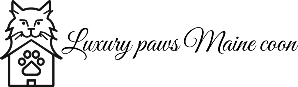 Luxury paws Maine coon Home